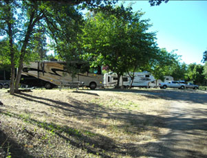 Bear Mountain RV Resort & Campground - Picture 3