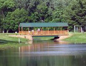 Paradise Camping Resort - Picture 3