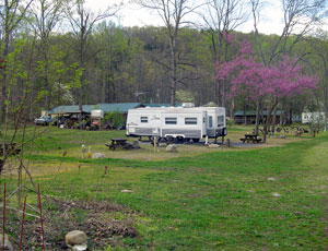 Pebble Mountain Family Campground - Picture 2
