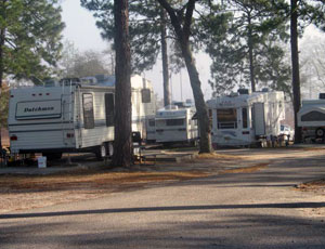Pine Acres Campground - Picture 1