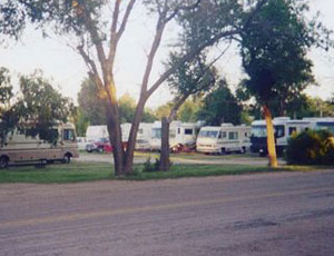Shady Grove Campground - Picture 2