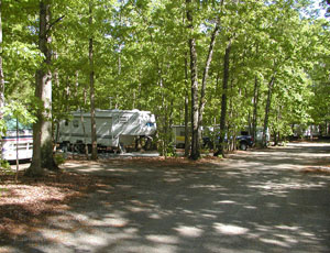Small Country Campground - Picture 1
