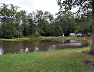 White’s Haven Campground & Cabins - Picture 3